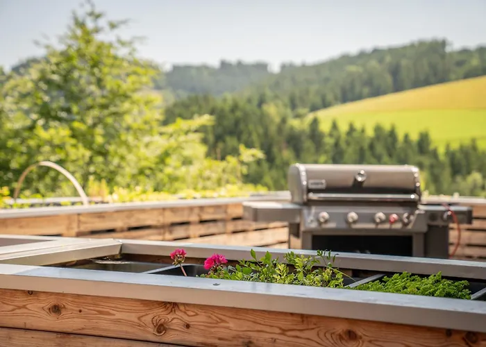 Koenigswieser Hof Hotel Konigswiesen