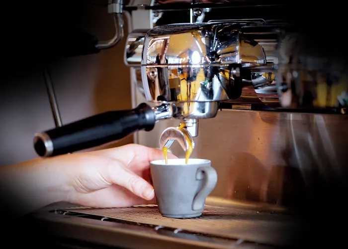 Koenigswieser Hof Hotel *